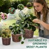GUGEMEI 12/10/8 Inch Clear Nursery Pots with Drainage Holes, 12