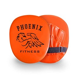 Boxing Target Gloves