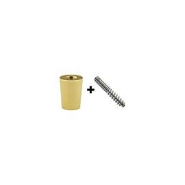 Polished Brass ferrule and hanger bolt for tap handle (pack of 5)