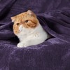 Bedsure Fleece Blanket Sofa Throw - Versatile Blanket Fluffy Soft