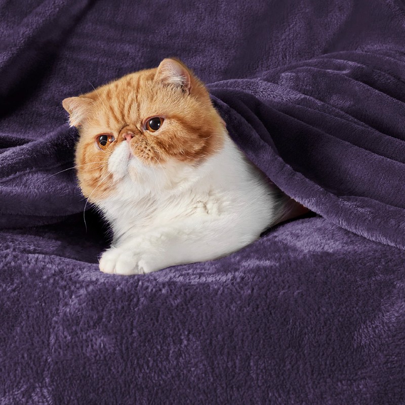 Bedsure Fleece Blanket Sofa Throw - Versatile Blanket Fluffy Soft