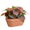 elho Vibia Campana Wall Basket 35 - Planter for Balcony
