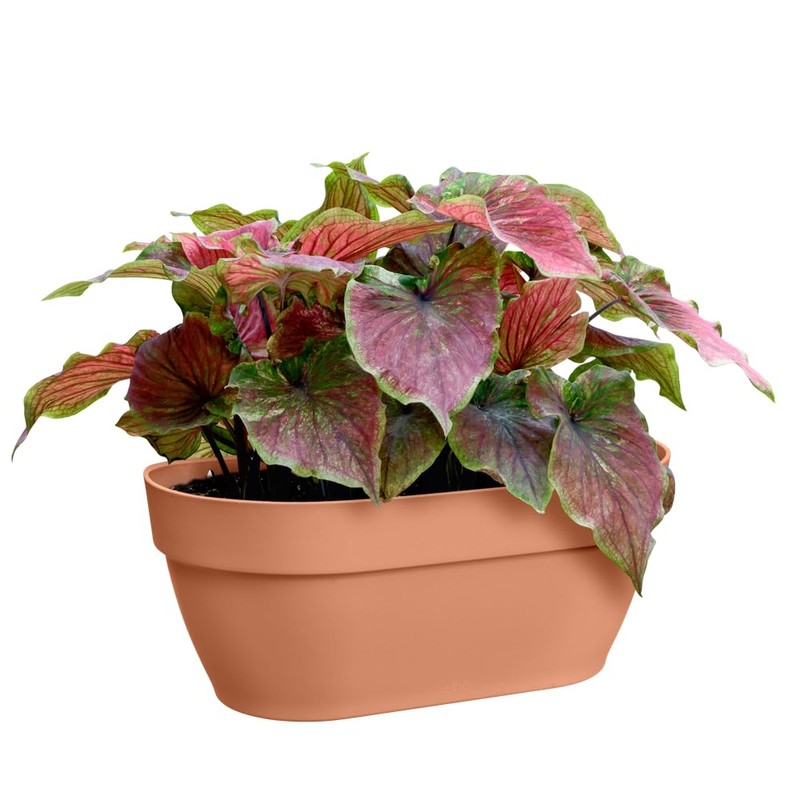 elho Vibia Campana Wall Basket 35 - Planter for Balcony