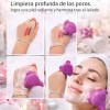 12 Pzs Kit Mascarilla Facial Bowl Brochas Y Frasco