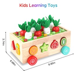 Toddlers Montessori Wooden Educational Toys for Boys Girls Age 2 3 4 Year Old, Preschool Learning Fine Motor Skills Game, Wood Shape Sorting Toys Birthday Gifts for Kids