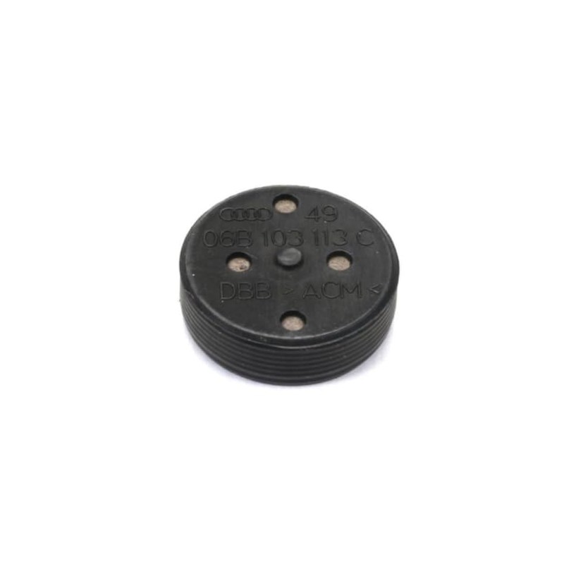 Volkswagen 06B 103 113 C, Engine Expansion Plug