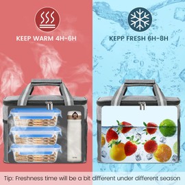 DUNSOO Cool Bag Small 15 L, Small Cool Bag for On the Go Cool Bags Foldable Thermal Bag for Picnics / BBQs / Camping / Trips / Shopping / Car, Grey