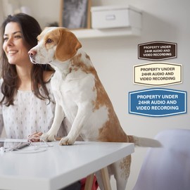 Signs ByLITA Fancy Property Under 24Hr Audio and Video Recording Sign (Black/Gold) - Small 5 Pack