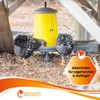 Eivolution Organic Chicken Feed Pellets 800 g - Oregano Herb