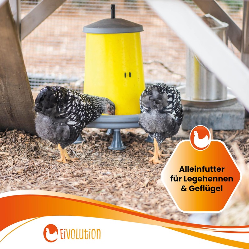 Eivolution Organic Chicken Feed Pellets 800 g - Oregano Herb