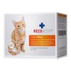 RECOACTIV Kidney Tonic for Cats 3 x 90 ML, food supplement for convalescence in case of early signs of kidney function disorders in cats as well as for prophylaxis