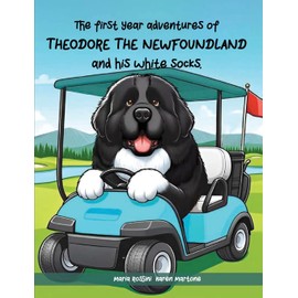 The First Year Adventures Of Theodore The Newfoundland And His White Socks