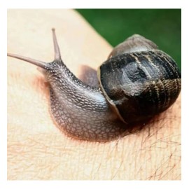 Sheló Nabel Crema Jabón Facial Baba de Caracol Pack 2 Antimanchas Día/Noche Piel Mixta