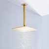 12 Inches Square Ceiling Mount Shower Arm and Flange, Champagne