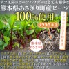 リフ工房 熊本県 あさぎり町産100% ビーツパウダー 100g×3袋セット （粗粉末タイプ/使い捨てスプーン付き）パッケージリニューアル品 国産原料100％使用 無化学肥料/無化学農薬栽培 デキストリン不使用 合成色素/香料/甘味料/保存料/防腐剤不使用