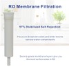 Replacement Filter Set With Membrane S-1229RS for Microline 435 Reverse