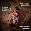 Schauma Caffeine Shampoo Hair Booster (400 ml), Hair Shampoo Helps