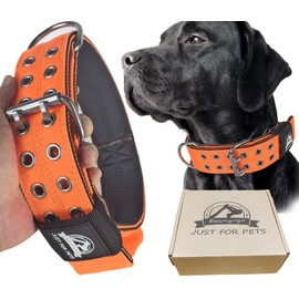 Kawagogo Heavy Duty Dog Collar for Large Dogs, Tactical Military Training Dog Collar for Extra Large Breeds,Strong and Durable ，German Sherd Pitbull (21IN-27IN, Black)