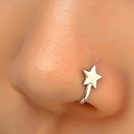 Aneneiceera Vintage Star Nose Ring Hoop Gold Tiny Star Nose Ring Stud Tiny Star Nose Screw Stud Ring Boho Star No Piercing Nose Hoop Clip On Nose Ring Jewellery for Women (Gold), Zinc
