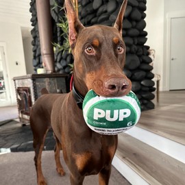 PUP Pouch Dog Toy - Squeaking Plush Dog Toy for Small, Medium, and Large Dogs - Funny Pet Toy for All Breeds - Cool Stuffed Parody Dog Toys