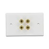 Selby Budget 2 Speaker Cable Wall Plate Wallplate DIY Home