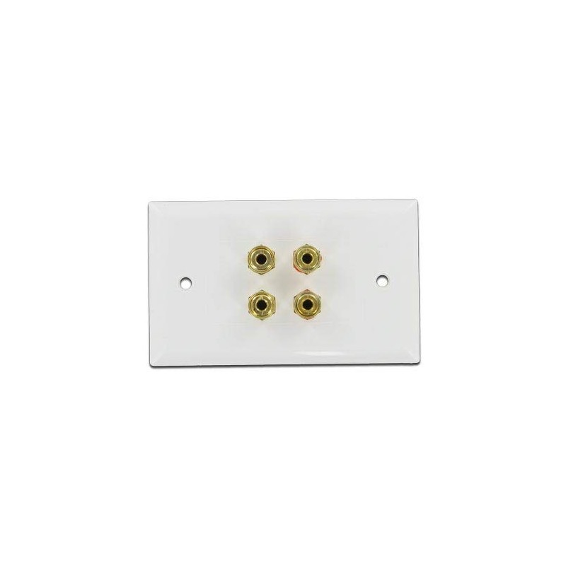 Selby Budget 2 Speaker Cable Wall Plate Wallplate DIY Home