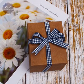 Ribbli Navy and White Gingham Ribbon,100% Polyester Woven Edge,3/8 Inch x 10 Yard,Plaid Ribbon Use for Gift Wrapping,Party Decoration