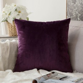 MIULEE Velvet Soft Soild Microfiber Decorative Square Pillow Case Throw Cushion Cover for Sofa Bedroom with Invisible Zipper 16x16 Inch 40x40cm Aubergine 1 Piece