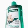 클로란 갈랑가 진저 지루성 두피 비듬 샴푸, 400ml, 1개 Klorane