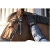 Lazura - Calgary Winter Riding Gloves | Soft Winter Gloves