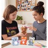 Fluffy Pipe Cleaner Craft Kits, 4-Pack DIY Plush Animal Keychain