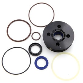 Tilt Trim Piston Seal Kit & End Cap Replacement for Evinrude E-Tec 75-130Hp 5008985 5008917