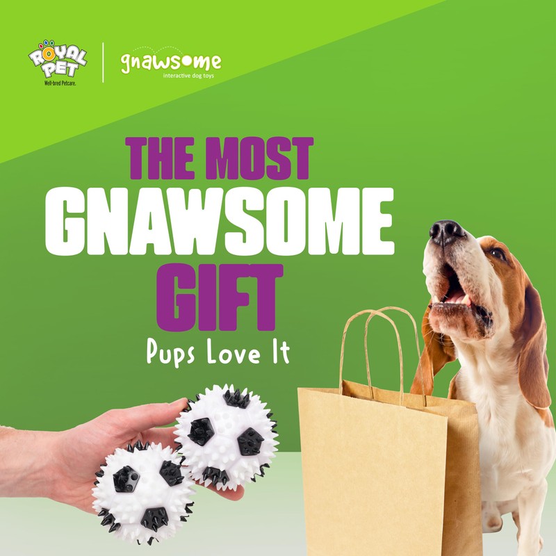 Gnawsome 3.5” Squeaker Soccer Ball Dog Toy - Medium, Promotes