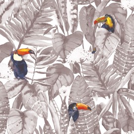 Tempaper Newspaper Toucan Removable Peel and Stick Wallpaper, 20.5 in X 16.5 ft, Made in the USA