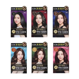 LG Household &amp; Health Care Lien Black Hair Secret Cream Dye 120g 6 types to choose, Lien Black Hair Secret Cream Black 120g / LG생활건강 리엔 흑모비책 크림염색 120g 6종 선택, 리엔 흑모비책 크림흑색120g