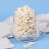 Coconut Chunks 8.81oz Dried Fruit Coconut Crispy Refreshing and Delicious
