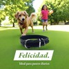 Collar para Perro De Piel Alta Calidad Resistente Entrenamiento Y