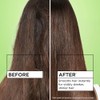 Garnier Fructis Sleek & Shine Intensely Smooth Leave-In Conditioning Cream,