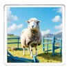 Sheep Coaster Set. 4 different Sheep Pictures on 10cm x