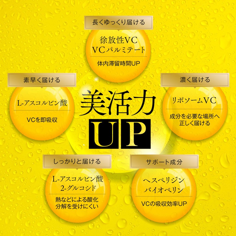 VITAS (バイタス) リポソームビタミンC カプセル 国内製造 90粒