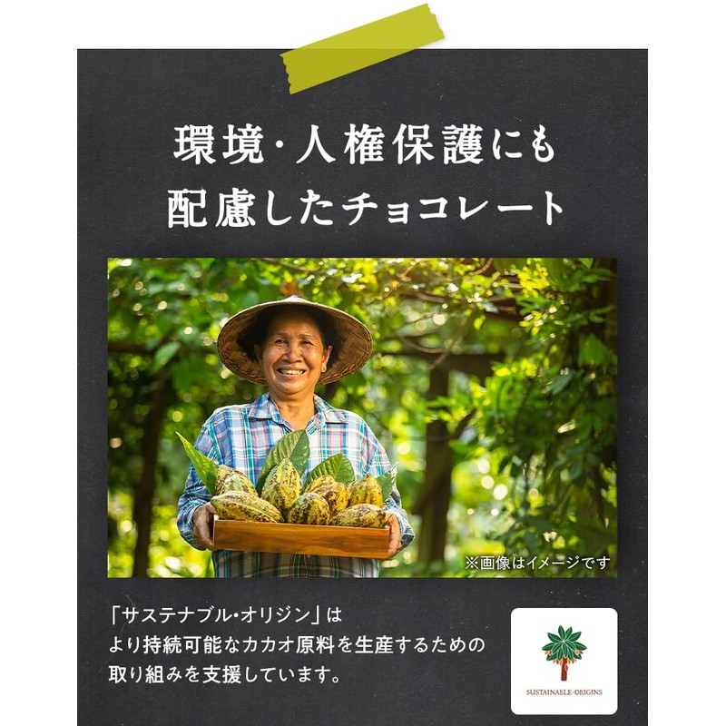 糖類ゼロ 砂糖ゼロ おいしい チョコレート たっぷり 345g ヘルシーカカオ シュガーレス 一口サイズ