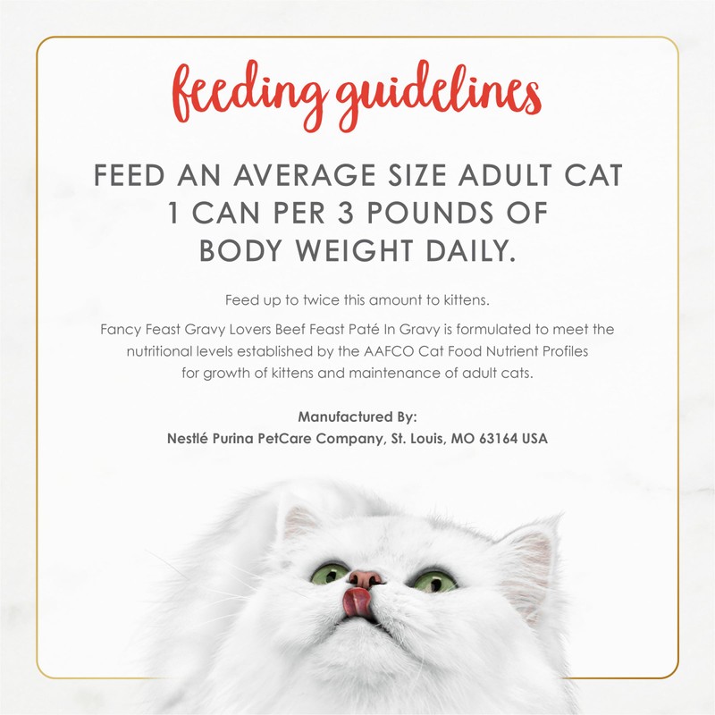 Purina Fancy Feast Gravy Lovers Beef Feast Pate in Wet