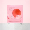 ROUND LAB Camellia Deep Collagen Firming Gel Mask Sheet 1ea