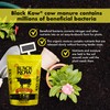 Black Kow Nitrogen Phosphate Composted Cow Manure Fertilizer for Soil,