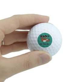 GRAPHICS & MORE Hang in There Sloth Funny Humor Novelty Golf Balls 3 Pack