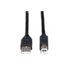 Hosa Technology A- B Box, 10 Feet (USB-210AB)