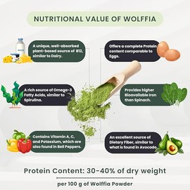 Wolffia Globosa Powder | High Protein Plant Based Superfood | Rich in Vitamin B12, Minerals & Essential Amino Acids | Vegan Friendly 1.76 oz (50 g)