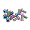 12pcs RISK Bicycle Disc Brake Rotor Bolts M5x10mm T25 Titanium