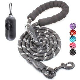 BAAPET 2/4/5/6 FT Strong Dog Leash with Comfortable Padded Handle and Highly Reflective Threads for Small Medium and Large Dogs (4FT-1/2'', Black)