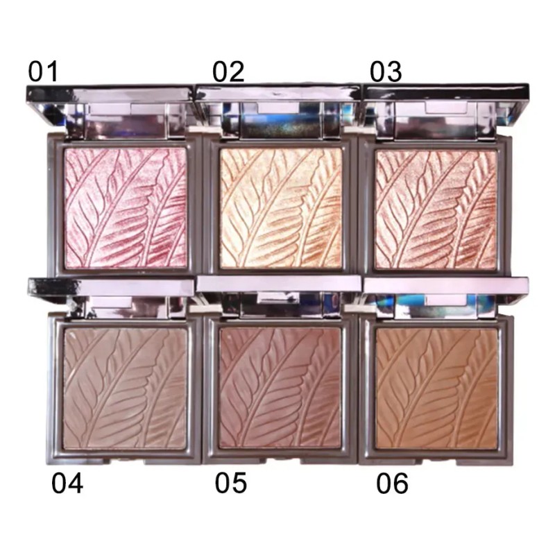 Set 6 Polvo Compacto Corrector Larga Duracion Mate --